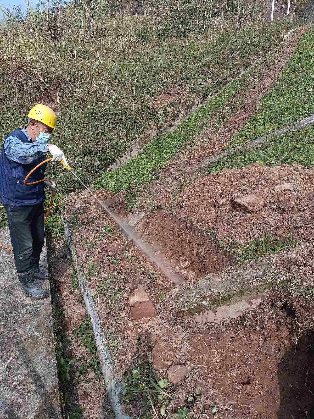 重庆水库堤坝白蚁整治|白蚁对水库堤坝的危害机制