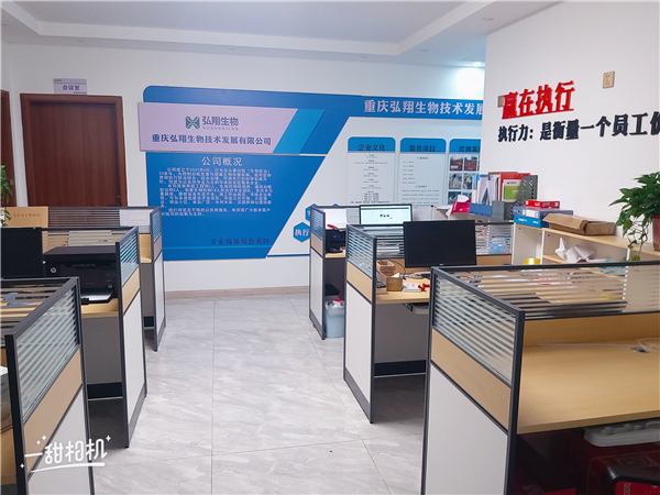 办公环境 (1).jpg