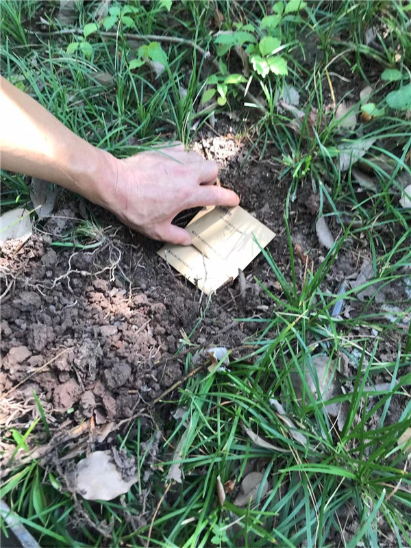 1709279356507788.jpg 202401092139.jpg