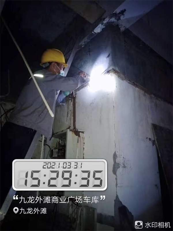 1747183660883125.jpg 白蚁.jpg